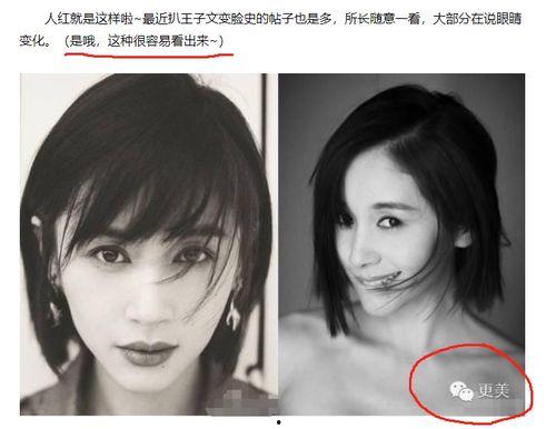 明星黑料最新,明星黑料曝光，真相背后引人深思